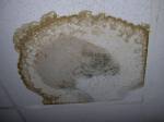 ceiling _stain