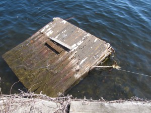 dock_rescue1