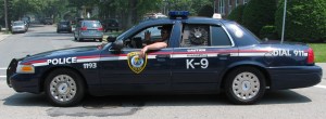 wakefield_police_cruiser