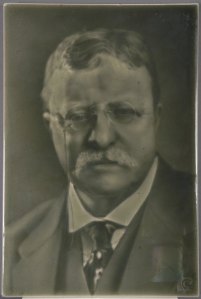 teddy_roosevelt